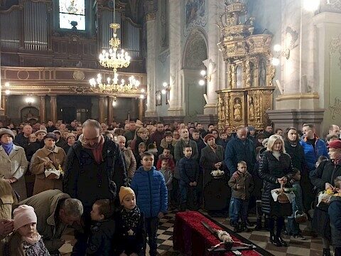 Zdjęcie 16 z 31