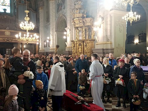 Zdjęcie 14 z 31