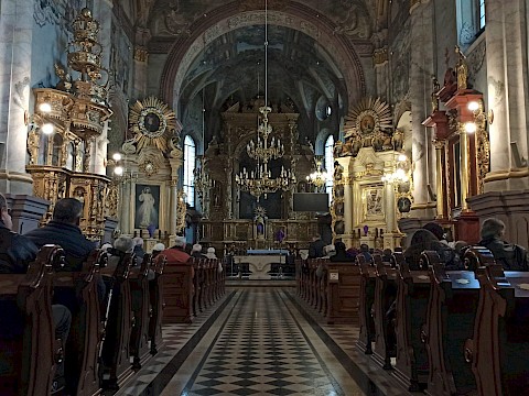 Zdjęcie 6 z 19