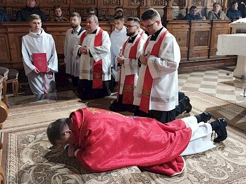 Zdjęcie 1 z 55