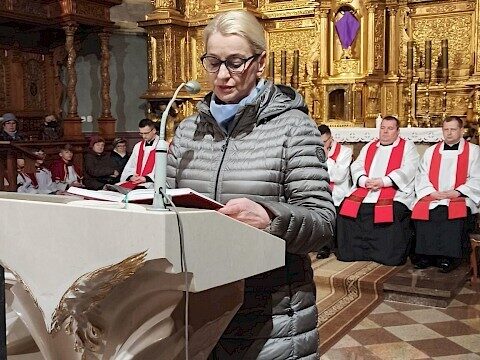 Zdjęcie 5 z 55