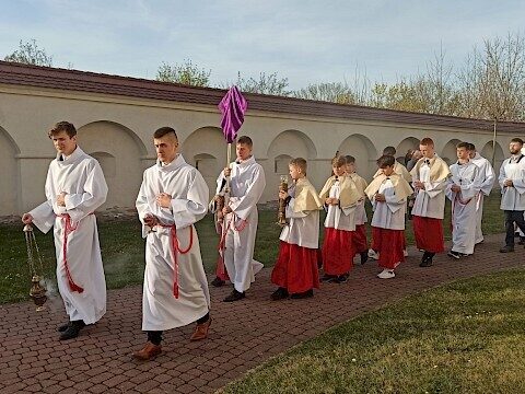 Zdjęcie 2 z 55