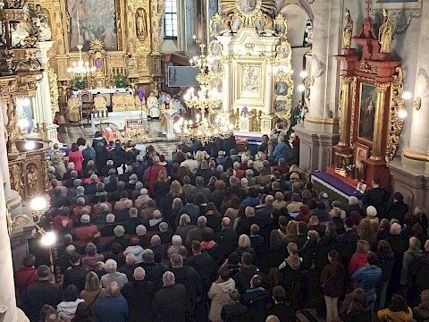 Zdjęcie 25 z 55
