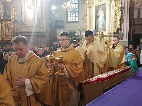 Zdjęcie 47 z 55