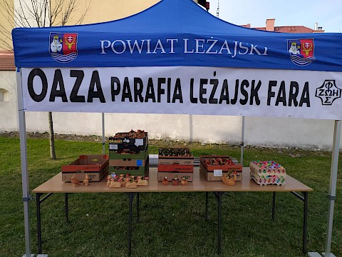 Zdjęcie 6 z 10