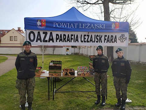 Zdjęcie 10 z 10