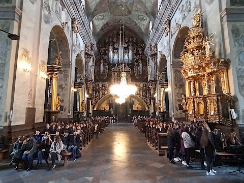 Zdjęcie 59 z 79