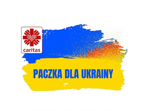 Zdjęcie 1 z 1