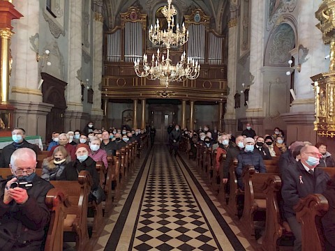 Zdjęcie 9 z 11