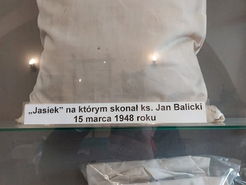Zdjęcie 8 z 27