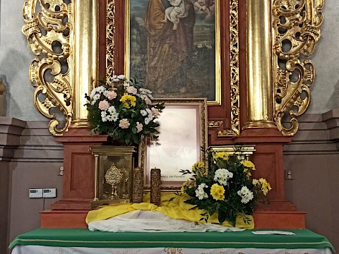 Zdjęcie 22 z 25