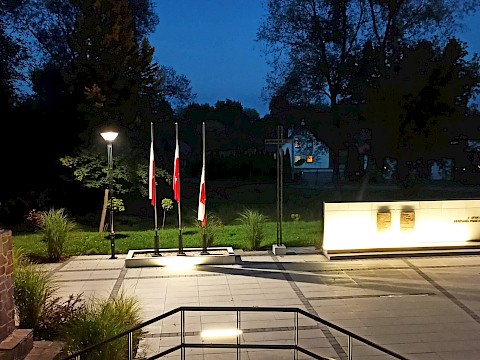 Zdjęcie 42 z 48