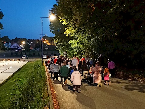 Zdjęcie 43 z 48