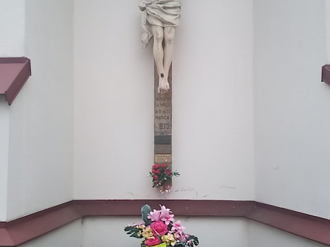 Zdjęcie 29 z 38