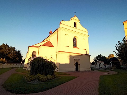 Zdjęcie 8 z 29