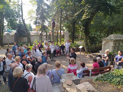 Zdjęcie 24 z 65