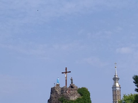 Zdjęcie 45 z 65