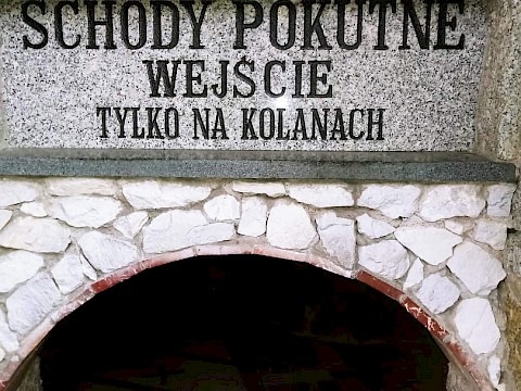 Zdjęcie 48 z 65