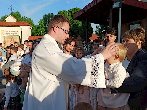 Zdjęcie 42 z 50