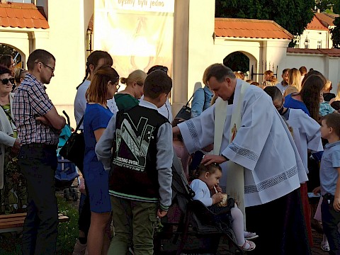 Zdjęcie 49 z 50
