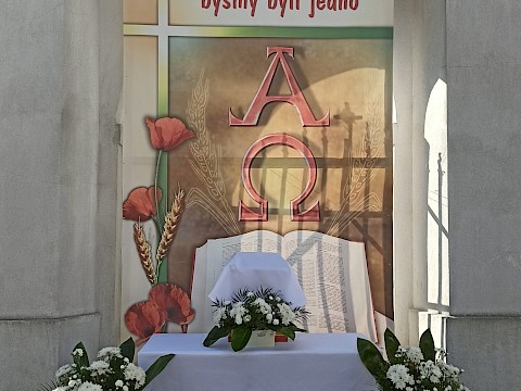 Zdjęcie 7 z 83