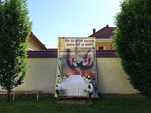 Zdjęcie 8 z 83