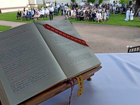 Zdjęcie 82 z 83