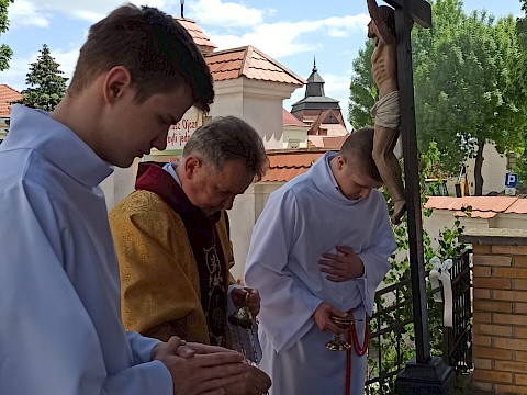 Zdjęcie 44 z 83