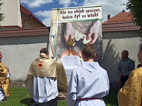 Zdjęcie 71 z 83