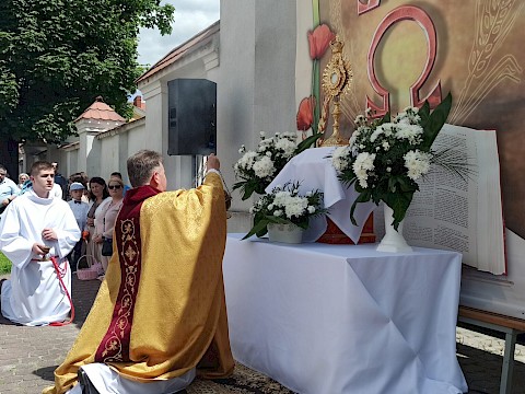 Zdjęcie 77 z 83
