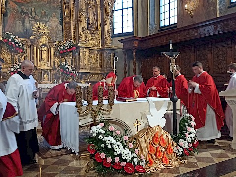 Zdjęcie 13 z 88
