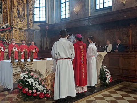 Zdjęcie 15 z 88