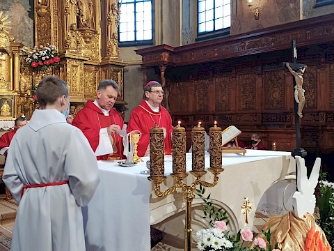 Zdjęcie 64 z 88