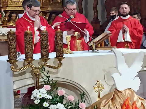 Zdjęcie 75 z 88