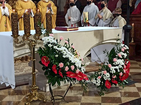 Zdjęcie 8 z 51