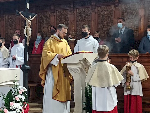 Zdjęcie 16 z 51