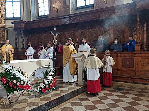 Zdjęcie 17 z 51