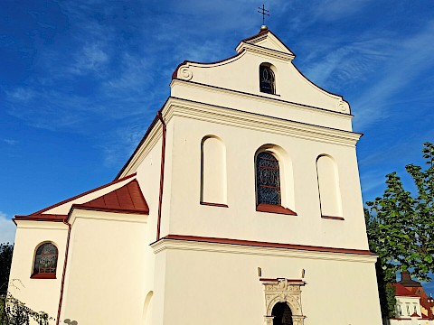 Zdjęcie 7 z 19