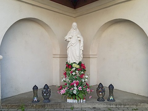 Zdjęcie 10 z 19