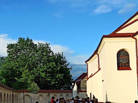 Zdjęcie 11 z 19
