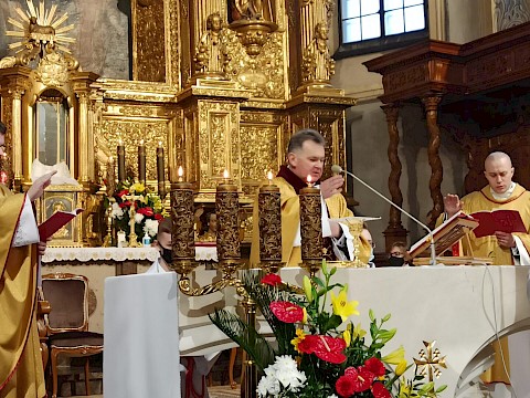 Zdjęcie 43 z 48