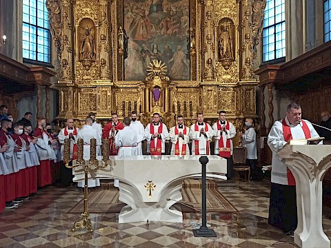 Zdjęcie 6 z 12