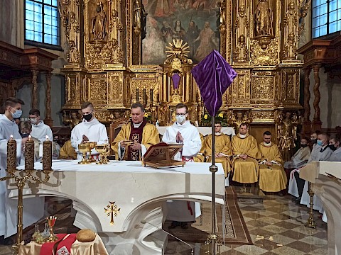 Zdjęcie 11 z 19