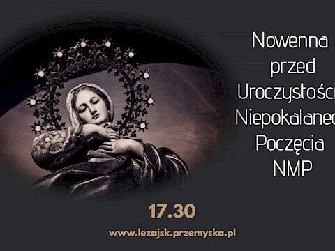 Zdjęcie 1 z 1