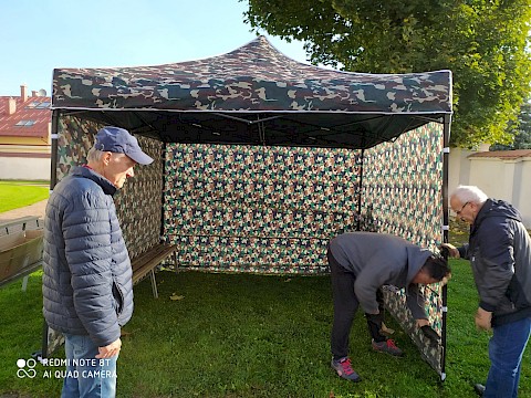 Zdjęcie 14 z 25