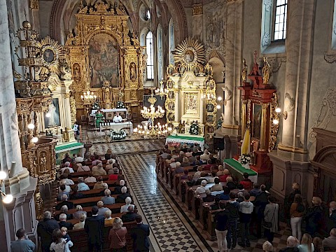 Zdjęcie 24 z 148