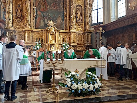 Zdjęcie 41 z 148
