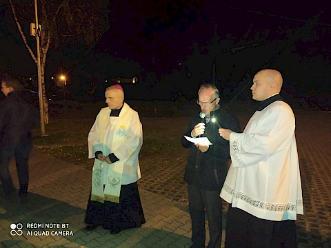 Zdjęcie 28 z 48