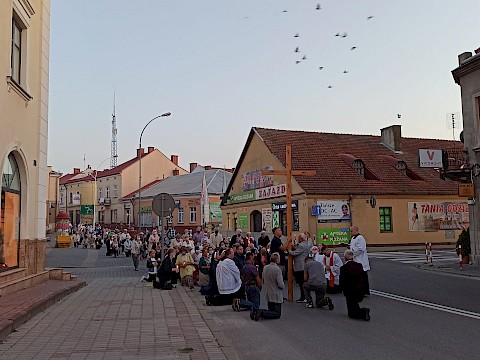 Zdjęcie 6 z 37