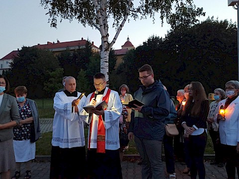 Zdjęcie 31 z 37